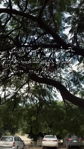 #بنغازي_ليبيا #طرابلس_بنغازي_المرج_البيضاء_درنه_طبرق #مصراته_الصمود🇱🇾🇱🇾🔥😌 #ليبيا #بنغازي_ليبيا🇱🇾 
