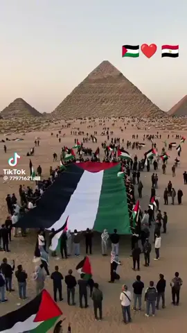 العلم الوحيد اللي ميزعلنيش انه اترفع في ارضي  الناس اللي  زعلانة وبتقول علم مصر بس اللي يترفع علي ارض مصر فلسطين هي مصر ومصر هي فلسطين القضية واحدة والشعب واحد 👌❤❤