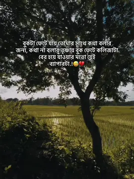 বুকটা ফেটে যায় তোমার সাথে কথা বলার জন্য, কথা না বলার তৃষ্ণায় বুক ফেটে কলিজাটা বের হয়ে যাওয়ার মতো যেই ব্যাপারটা.!#Out#Outfitok berwarna #fyp 