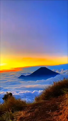 Gunung Sumbing 3371MDPL. perpaduan lautan Awan dan Orange Sunset sore membuat Gunung Sumbing Seperti Lukisan Hidup🤩😌 Setenang itu di sini. #travel #pendaki #gunung #fyp #alam 