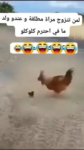 #الشعب_الصيني_ماله_حل😂😂 
