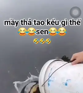 kao không biết bơi ngửa sennn oi cú kao kk