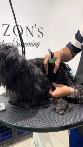 Baorun parin sa 2026 ang pet clipper na gagamitin ko ❤️😍 magaan walang ingay hindi mabilis uminit. #petclipper #petshaver #petgrooming 