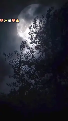 👉one sided love pain💔💔💔💔💔#sadvibes💔🖤🖇 #poetrylovers🥀 #sadmoodfeeling #foryoupage #fyp 