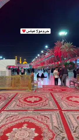 Abbas Alamdar 🙌🏻🙌🏻🏴