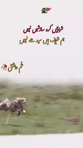 part 25 please Yar TikTok team ak to video viral kar doo  #atitudesmart #trendingvideoviral #trendingvideoviral #foryoupageofficiall #viral?videotiktok😇😇🥺🥷🚩🥀🥀😒🚩😒😒🦋👻 
