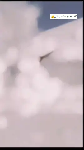 #السيد #برهوم 