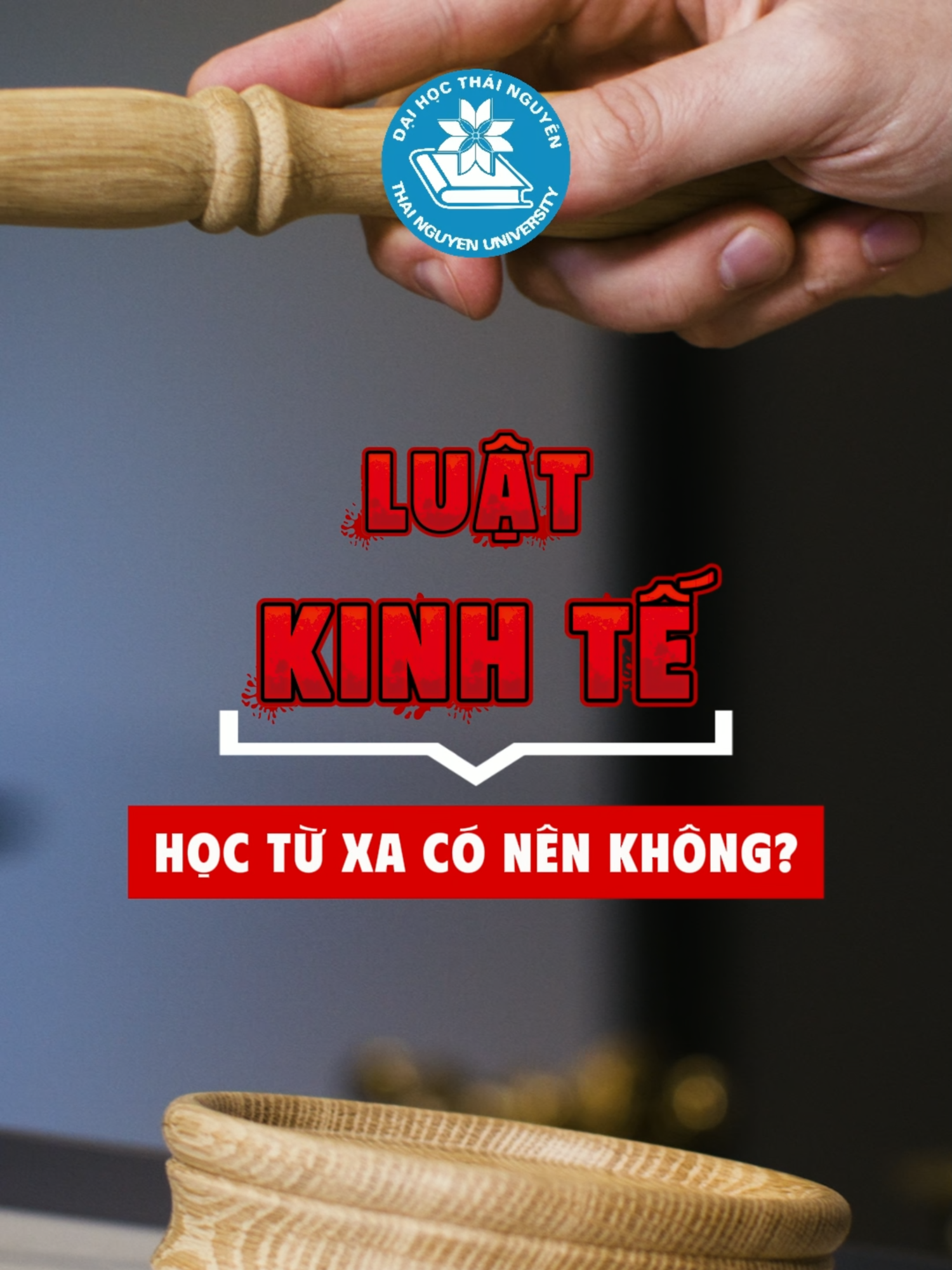 Ngành Luật và Luật Kinh Tế hệ từ xa - Đại học Thái Nguyên  #daihocthainguyen #elearning #tnu #daihoctuxa #Vanbangthu2 #luật #luatkinhte
