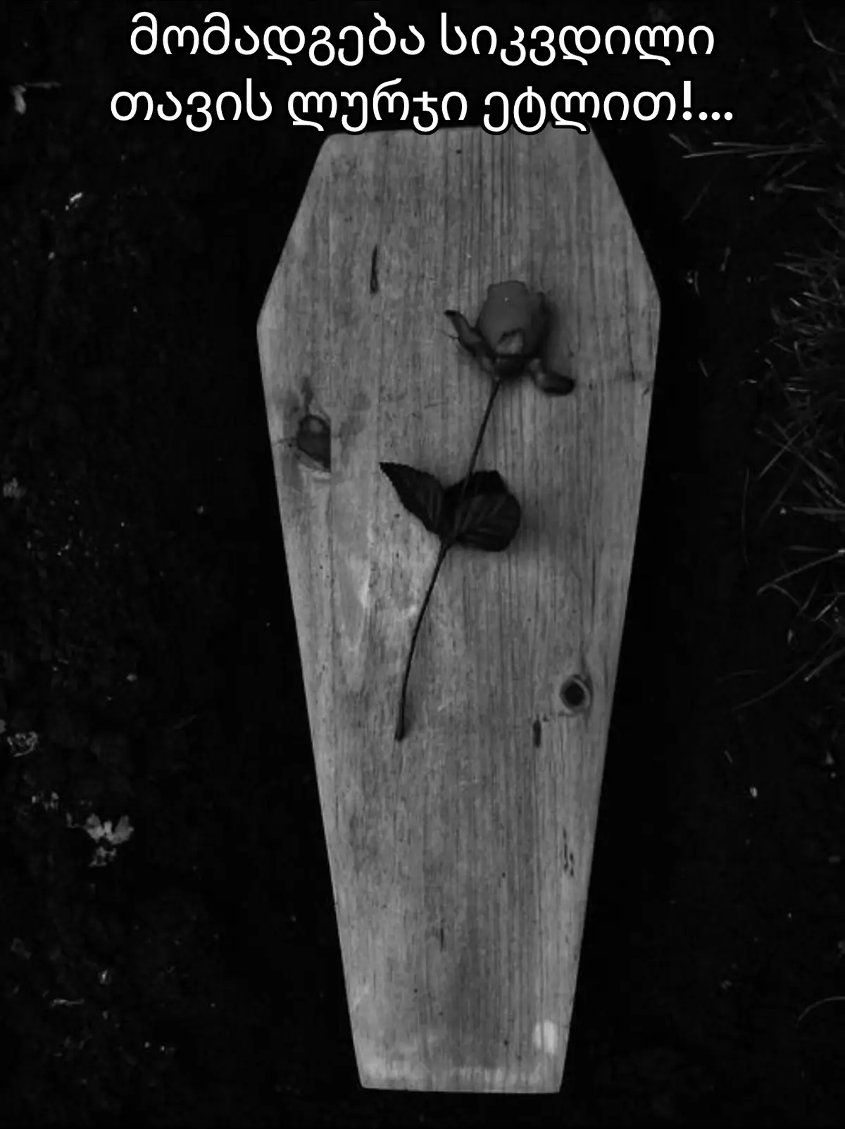 #ლექსი #პოეზია #ტკივილი #ცხოვრება #მარტოსული 