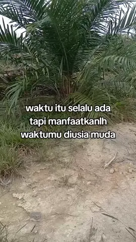 karena penyesalan itu sering datang diusia tua #kulisawit #fffffffyyyyyppppppppppp #pejuangTBM 
