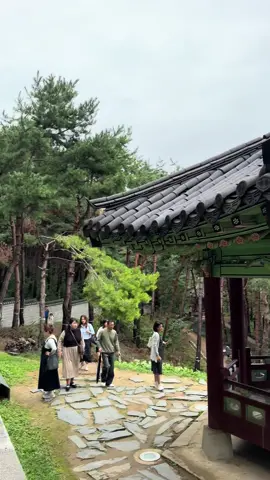 #southkorea 🇰🇷