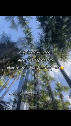 လာမထိနဲ့အကုန်ဝူရှူးဝါးတွေဖြစ်ကုန်မယ်😾#မောင့်ကိုကြူးမယ်🤭💗 #fypシ゚viral🖤tiktok #shoon #fyppppppppppppppppppppppp #fypシ 