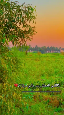 كاتلني العطش بس بالي مرتاح.💔#سميرصبيح #greenscreen #تصويري_احترافي_الاجواء👌🏻🕊 #تصويري📸اكسبلوور #تحياتي_لجميع_المشاهدين_والمتابعين 