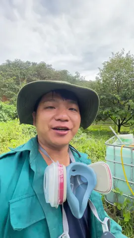 Bộ mặt nạ 7502 mềm mịn dể thở đeo nhẹ nhàng êm mặt #vtnn #vtnndinhtuan #matna7502 #matnaxitthuoc #matnaphunthuoctrusau 