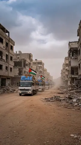 #sumudflotila #sumudflotilaupdate #globalsumudflotilatoday #freepalestine #alleyesongaza