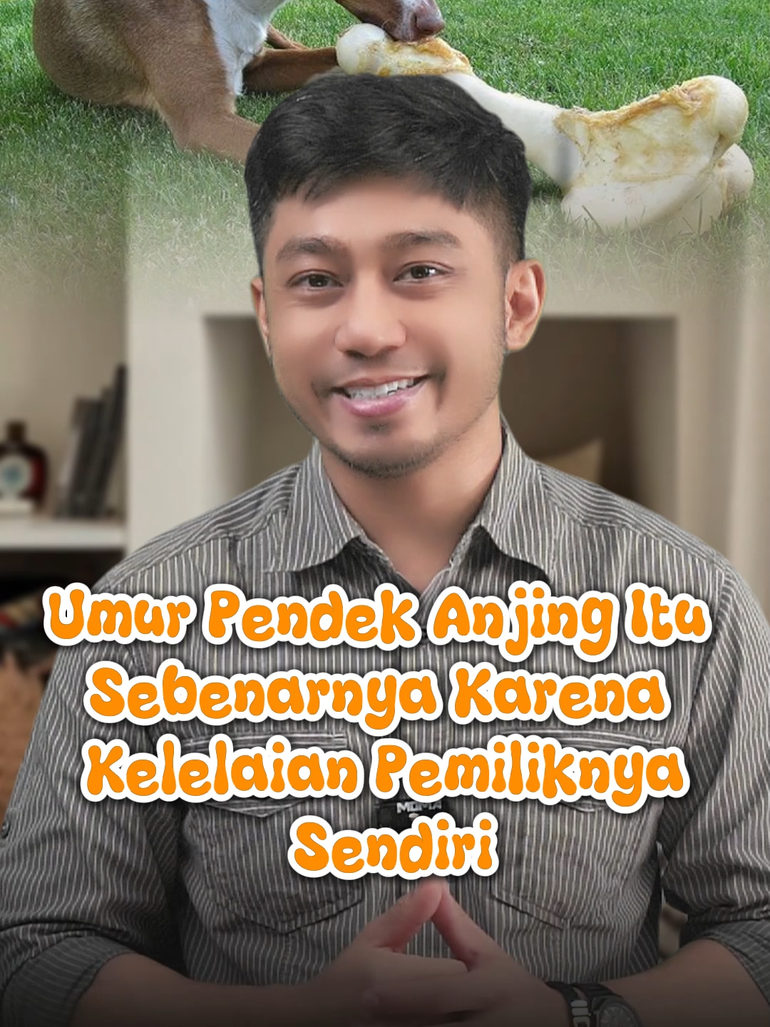Umur Pendek Anjing Itu Sebenarnya Karena Kelelaian Pemiliknya Sendiri. #VitaminAnjing #VitaminKucing #VitaminHewan #VitaminMurah #Hewankesayangan #hewanindonesia #anabulkesayangan #anabulgembul #pethealth #majes #Fyp