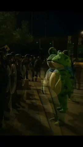 We love the freedom frog 🐸 #oregonfrog #freedomfrog #ice #fucktrump #halloween 
