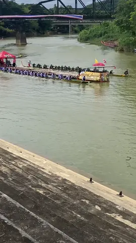 แข่งเรือหลังสวน❤️#ขึ้นโขนชิงธงหลังสวน #หลังสวนชุมพร 