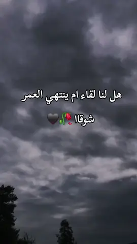 #تهلاو_ولاد_بلادي🇩🇿💛👌  #algeria #dz  #شعب_الصيني_ماله_حل😂 