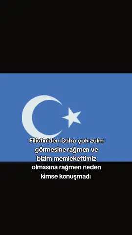 #doğutürkistan #doğutürkistandazulümvar #doğutürkistankanağlıyor #doğutürkistandazülümvarsessizkalma 