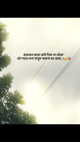 প্রয়োজন ছাড়া কেউ নিবে না খোঁজ 