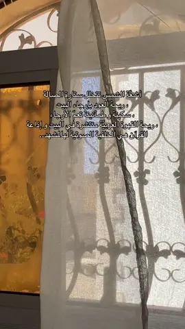 #عشواياتي_ #اكسبلورexplore #CapCut #الحمدلله_دائماً_وابداً 