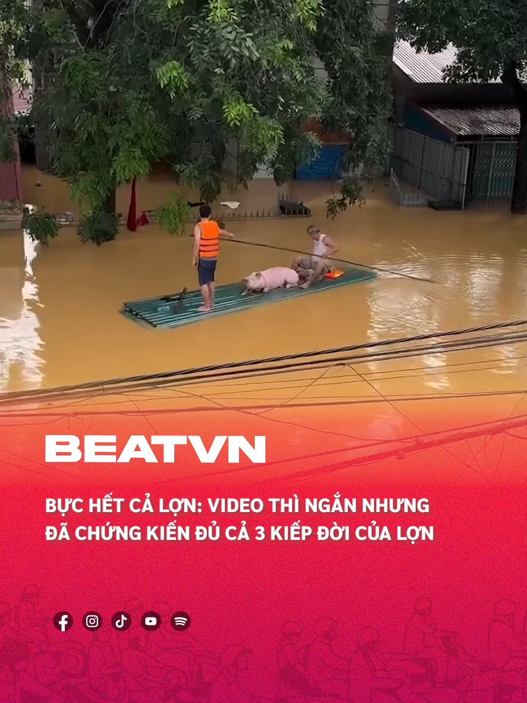 Bực hết cả lợn #beatvn #beatnetwork #beatoflife #lulut
