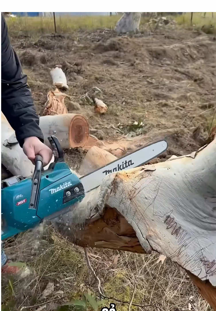 Máy cưa pin mikita #maycuaxich #maycua #maycuapin 