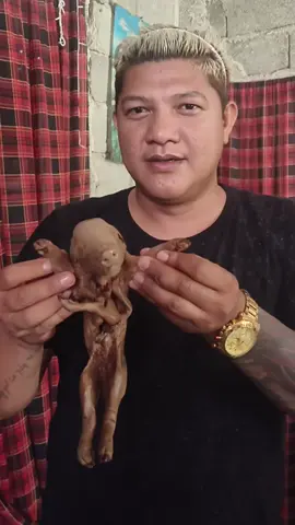 bayi babi 9 kaki di awetkan di dalam toples cap tikus lahir pada tanggal 9 /bulan 3 /tahun 1999 jam 9 anak ke 9 #fypシ゚ #story #videoviral 
