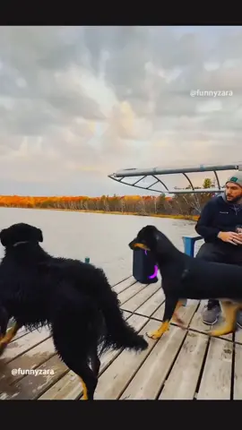Funny fails 🤣 Get ready to laugh hard with the funniest TikTok clips on your feed! From hilarious POVs and caught-on-camera moments to funny animals, adorable babies, pranks, and meme-worthy fails - it's nonstop comedy for all ages. Try not to laugh? You'll fail. #funny #funnyvideos #funnyfailsvideos #funnyfails #funnyfall #funnyfallingvideos #trendingvideo #forupage #fyp #foryoupage #tiktokviral #trendingvideo