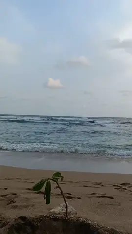 berisik tapi tenang #sea #beach #blitar 