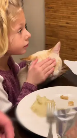 Child’s first friend in the world 🥰🐱💕#boycat #foryou #cat #sweet #usa #catandchild #catsoftiktok 