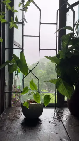 আসমানের দিকে তাকাইয়া দুইটা দীর্ঘশ্বাস ছাইড়া সব হজম কইরা নিতাছি! #viralvideo #bdtiktokofficial 