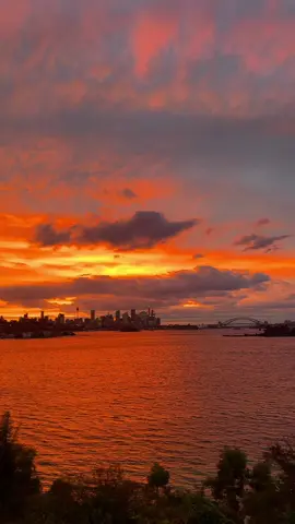 Nature putting on Sydney’s best show - The most magical sunset tonight 💕🧡🔥 @Sydney @Australia #sunset #sydney