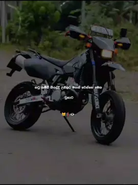 අනේ පැංචො🤍😹#doca_quotes #qoutes #sinhala_quotes #viral #foryou #foryoupage #wastapp_stusts #onmilionaudition