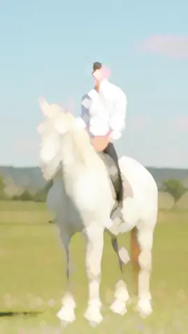 Chaudhary Shahzad Nazir 