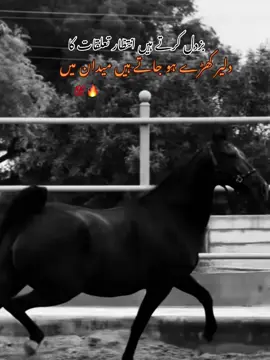 For you 💯🔥#unfreezmyaccout🥀💫। #viralkrdo?????🤌🏻🤌🏻 