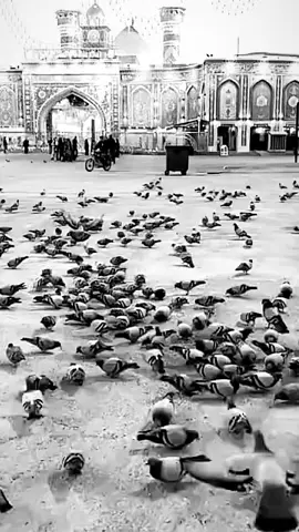 #اكسبلورexplore 