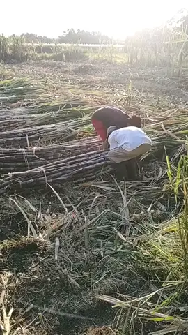 ,abot enteng tetep di lakoni #fyppppppppppppppppppppppp 