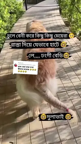 Replying to @user6283622789799 #fypシ゚viral #ফরইউতে_দেখতে_চাই #বিড়ালেরহাসিরভিডিও। #ফানি_ভিডিও😀😀😀😳মজা 