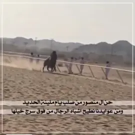سباق خيرل شرس للخيال حمد هادي المنصور #الخيل_العربي_الاصيل🐎 #tiktokindia_ 