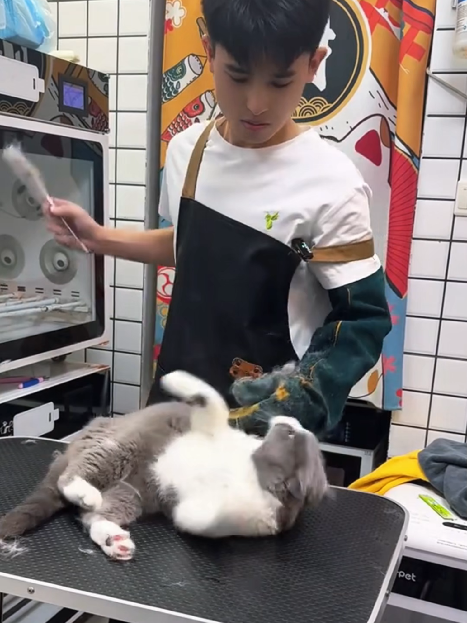 The daily cleaning and care of cats is one of the harshest in history :((( . . . . . #cats #pets #aggressivecats #aggressive #aggresivedogs #catsoftiktok #cat #catlover