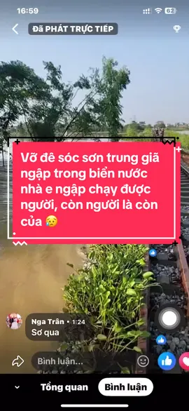 Vỡ đê sóc sơn trung giã ngập trong biển nước nhà e ngập chạy được người, còn người là còn của 😥#lũlụt #socson 