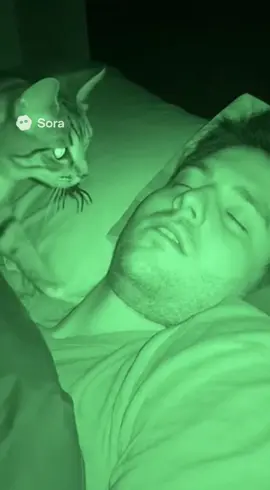 Vous auriez fais quoi vous ?😱#us #france #spider #cat 