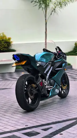 Street legend🔥🥵#r15v3 #panther #viral #trending #onemillionaudition @Abdullah👣 @ZOYA🐾❗️ @Me_Acchu🦋🤍 