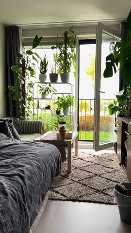 Kebun indoor, jangan cepet tumbuh ya ruangannya sempit guys. #indoorplants #aesthetic #roomdecor #greenroom 