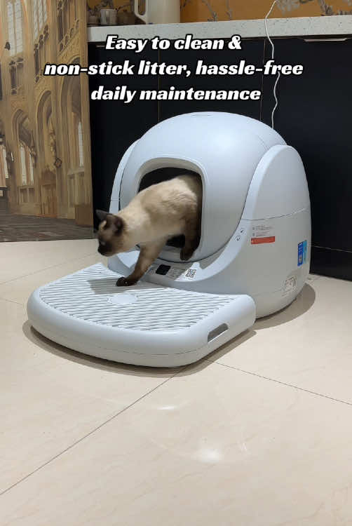 automatic cat litter box #catlinklitterbox #catlitterbox #automaticlitterbox #catlink  #cathealth #ailitterbox 