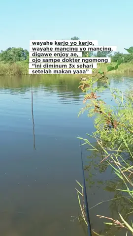 ngenteni pun 😇 #CapCut #tiktokviral #fyp #mancingmania #storymancing 