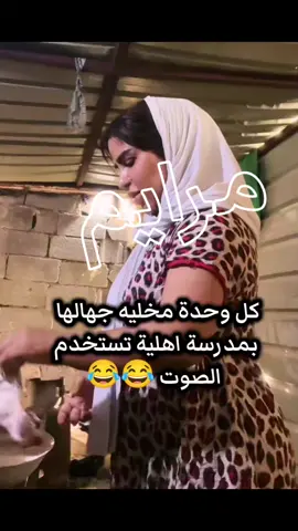 #اكسبلور #ام_بشيشين #زينب_بنت_الديوانيه 