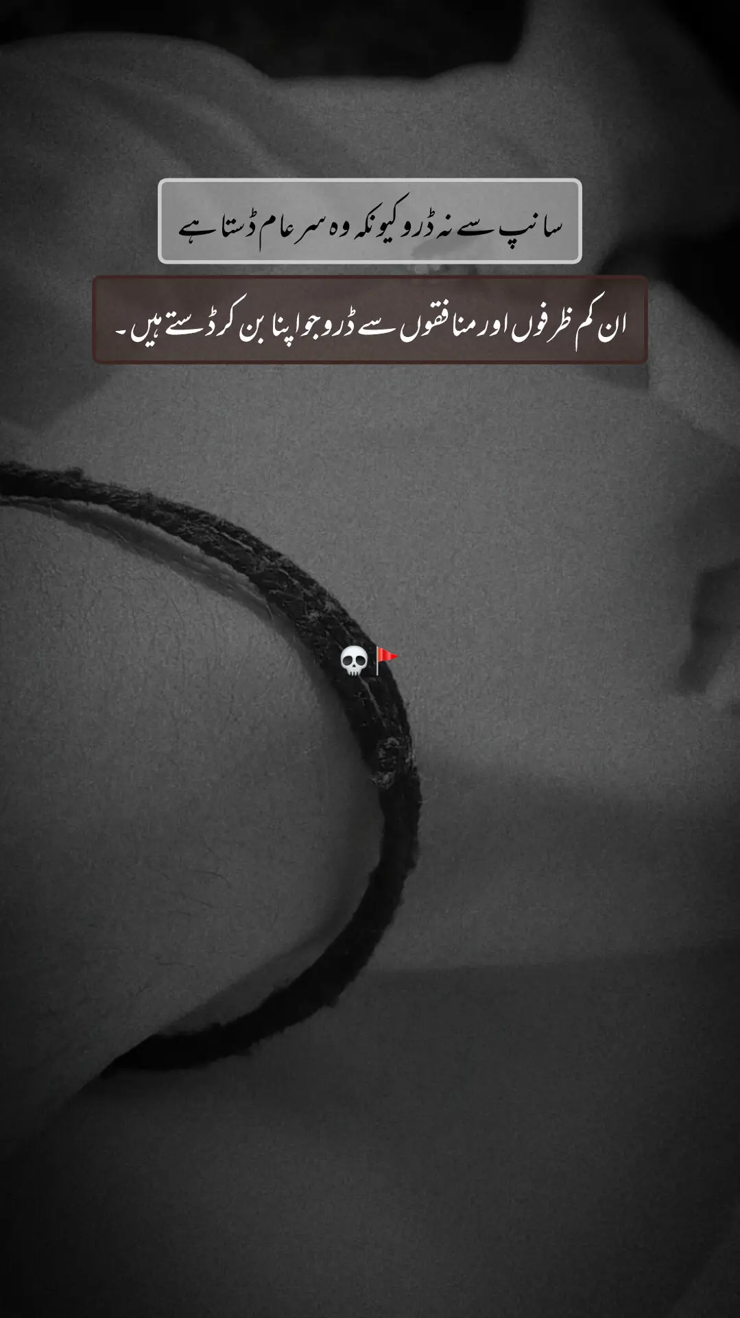 سانپ سے نہ ڈرو کیونکہ وہ سر عام ڈستا ہے  ان منافقوں سے ڈرو جو اپنا بن کر ڈستے ہیں۔ #4u #Urdupoetry #Attitudepoetry #viralvideo #1millionviews 